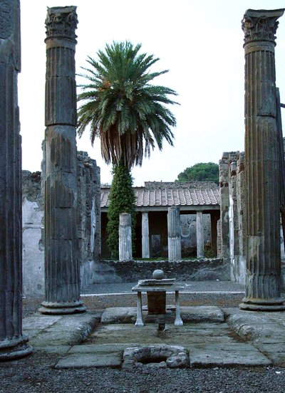 Vista di un Atrio, possibilmente della Casa del Fauno da Roman